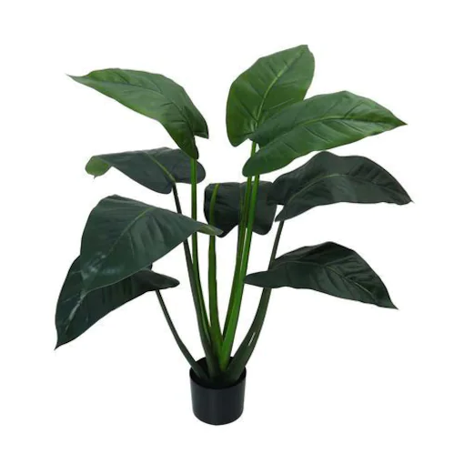 Mini Plant