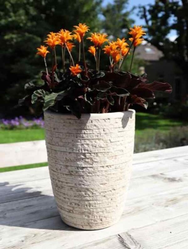 GRC Utah High Vase