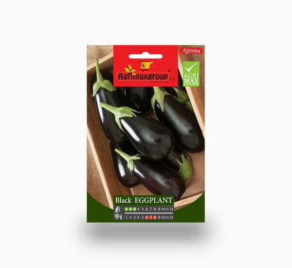 Black Eggplant seeds