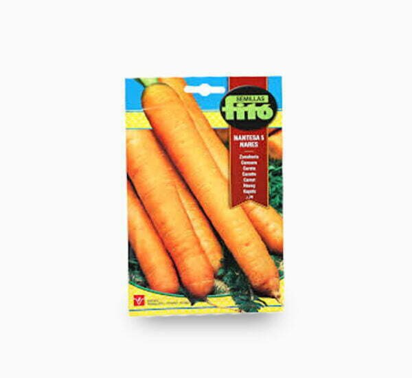 Carrot Nantesa
