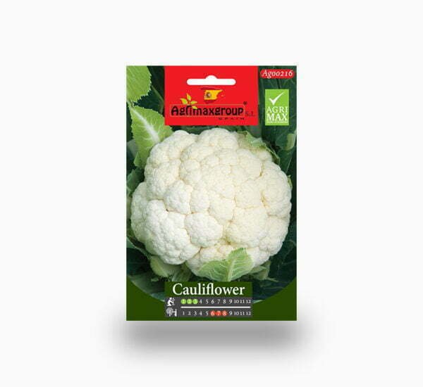Cauliflower seeds