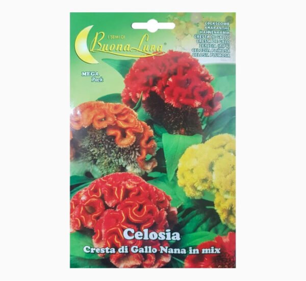 Celosia Cresta