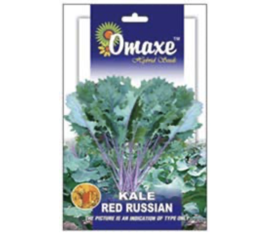 Kale Red Russian Hybrid