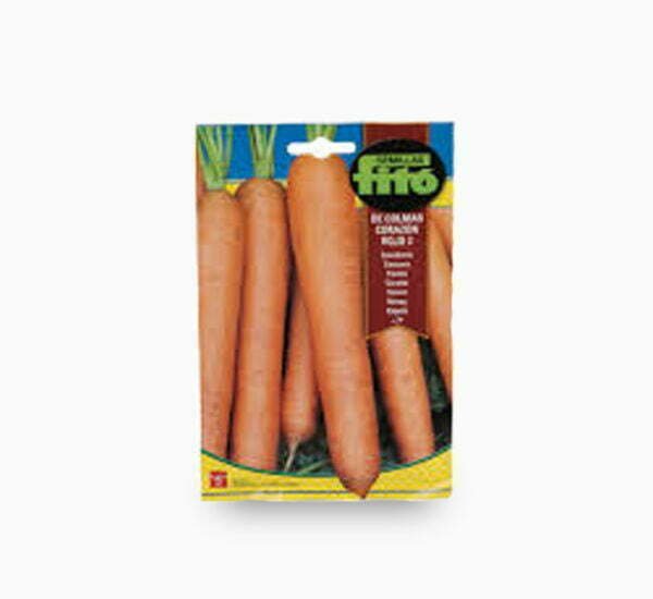 Carrot Colmar