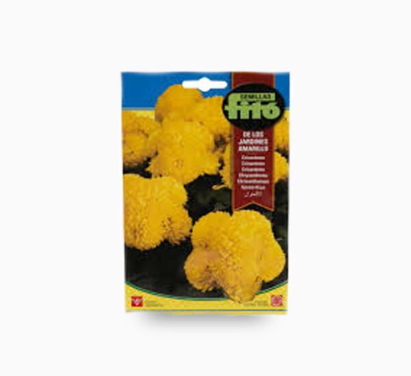 Amarillo Chrysanthemum