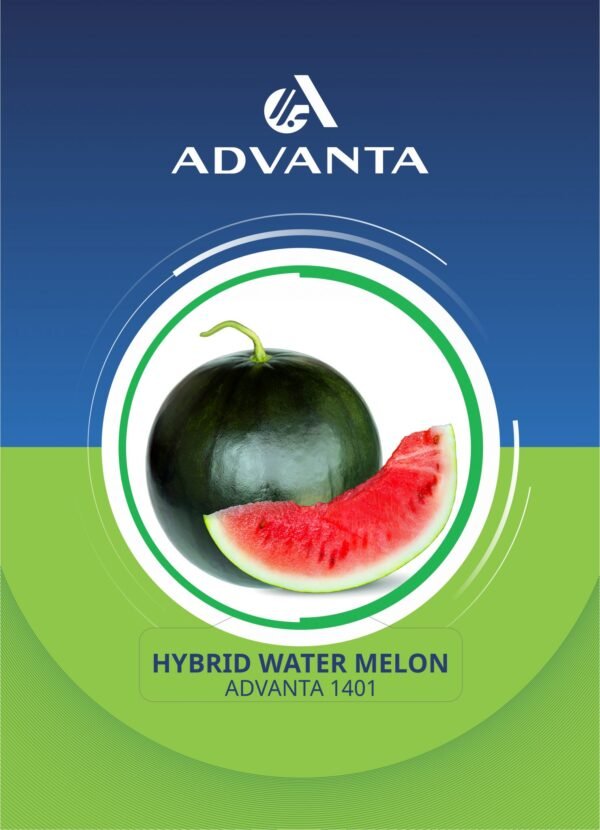 Hybrid Watermelon Seeds