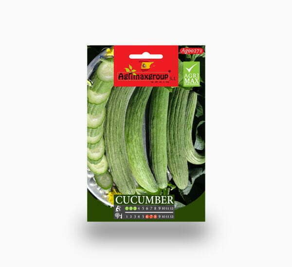 Armenian Cucumber