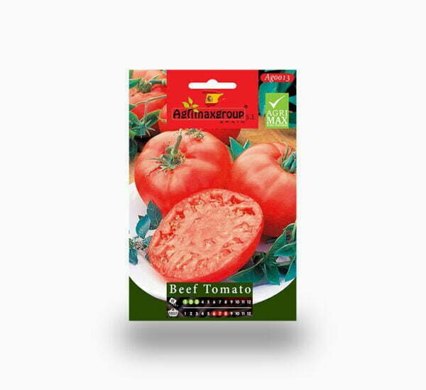 Beef Tomatoes Seeds