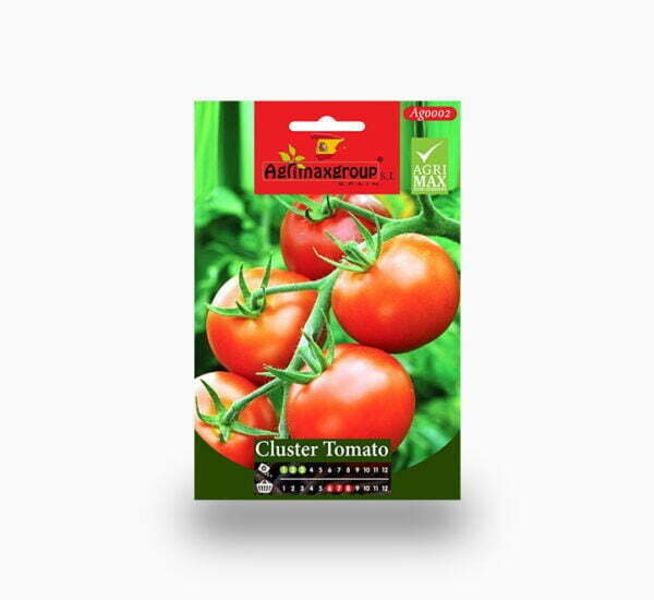 Cluster Tomato Seeds