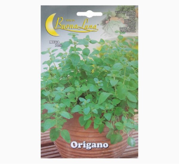 Origano Seeds