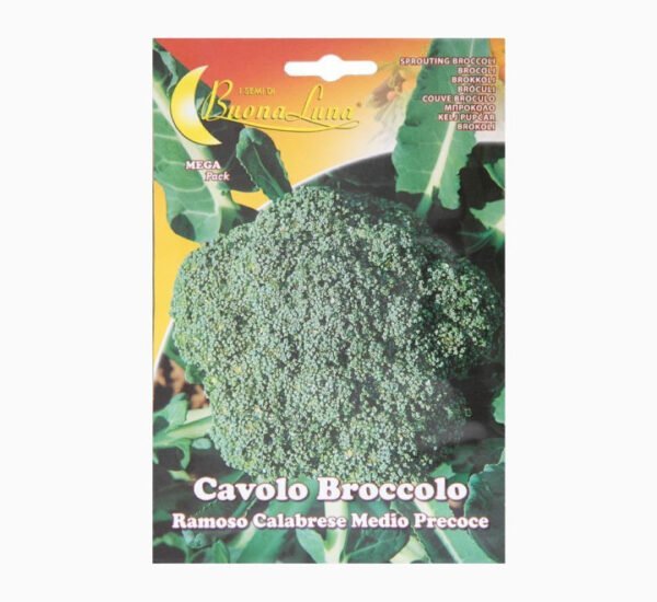 Cavolo Broccolo Ramoso