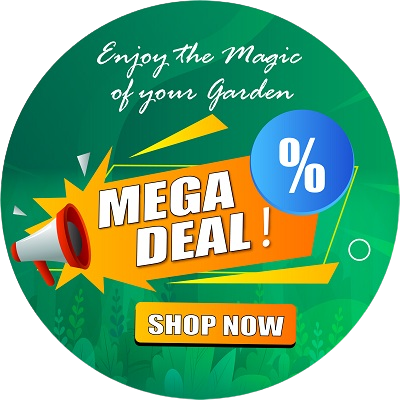 mega offer