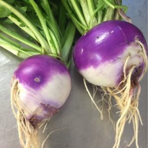 Turnip